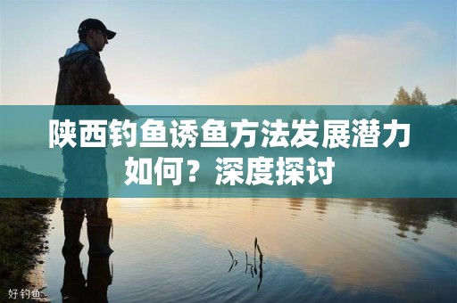 陕西钓鱼诱鱼方法发展潜力如何？深度探讨