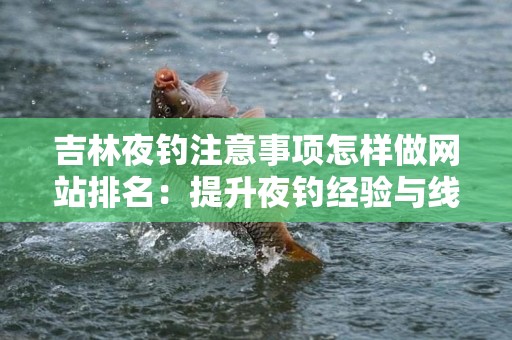 吉林夜钓注意事项怎样做网站排名：提升夜钓经验与线上曝光