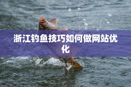 浙江钓鱼技巧如何做网站优化