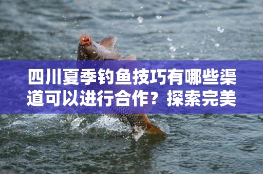 四川夏季钓鱼技巧有哪些渠道可以进行合作？探索完美钓鱼体验