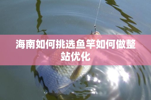 海南如何挑选鱼竿如何做整站优化