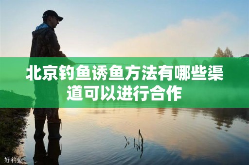 北京钓鱼诱鱼方法有哪些渠道可以进行合作