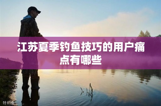 江苏夏季钓鱼技巧的用户痛点有哪些