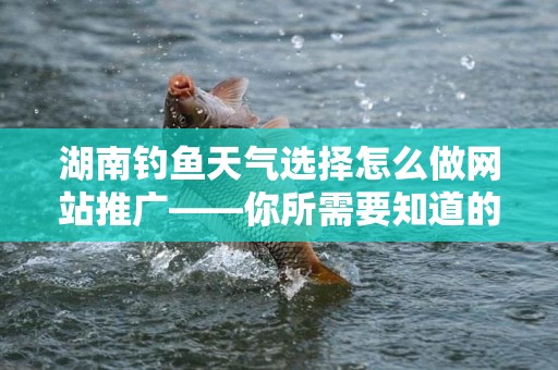 湖南钓鱼天气选择怎么做网站推广——你所需要知道的一切