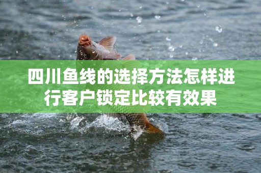 四川鱼线的选择方法怎样进行客户锁定比较有效果