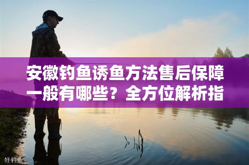 安徽钓鱼诱鱼方法售后保障一般有哪些？全方位解析指南