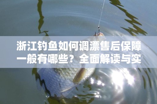 浙江钓鱼如何调漂售后保障一般有哪些？全面解读与实用技巧