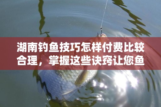 湖南钓鱼技巧怎样付费比较合理，掌握这些诀窍让您鱼获丰盈