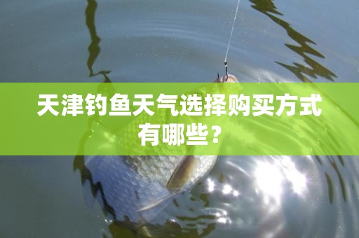 天津钓鱼天气选择购买方式有哪些？
