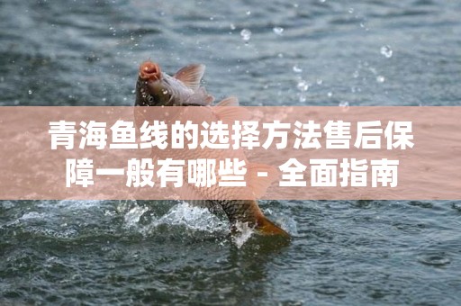 青海鱼线的选择方法售后保障一般有哪些 - 全面指南