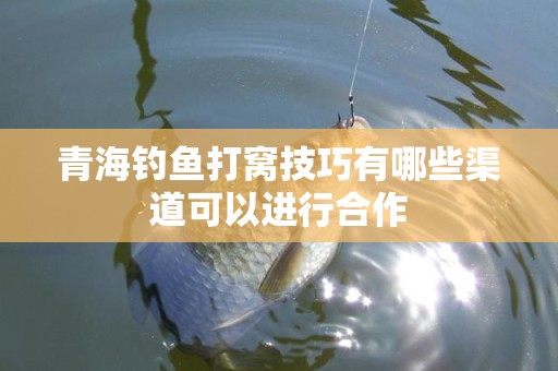 青海钓鱼打窝技巧有哪些渠道可以进行合作