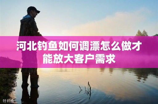 河北钓鱼如何调漂怎么做才能放大客户需求