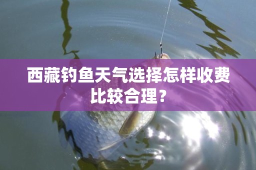 西藏钓鱼天气选择怎样收费比较合理？