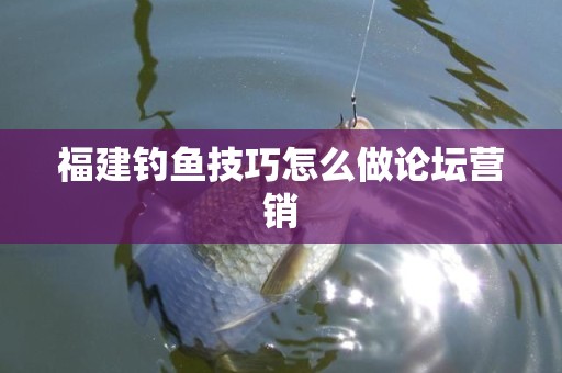 福建钓鱼技巧怎么做论坛营销