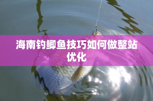 海南钓鲫鱼技巧如何做整站优化