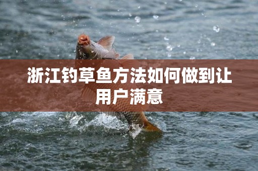 浙江钓草鱼方法如何做到让用户满意