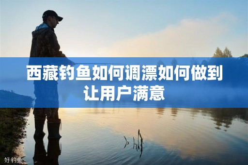 西藏钓鱼如何调漂如何做到让用户满意