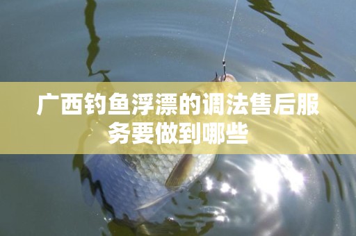 广西钓鱼浮漂的调法售后服务要做到哪些