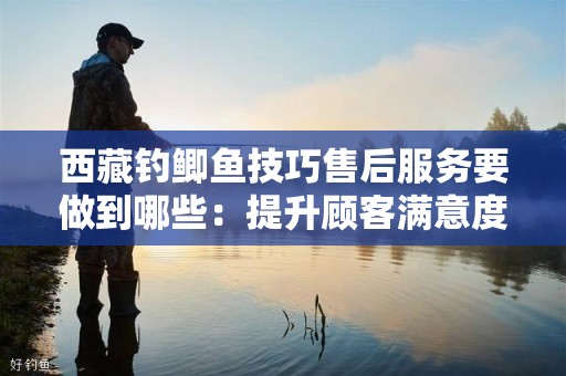 西藏钓鲫鱼技巧售后服务要做到哪些：提升顾客满意度的关键