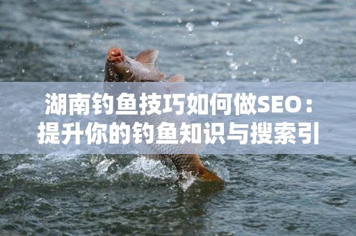 湖南钓鱼技巧如何做SEO：提升你的钓鱼知识与搜索引擎排名