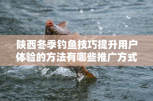 陕西冬季钓鱼技巧提升用户体验的方法有哪些推广方式有哪些