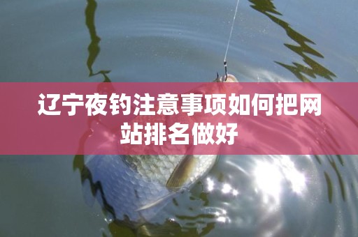 辽宁夜钓注意事项如何把网站排名做好
