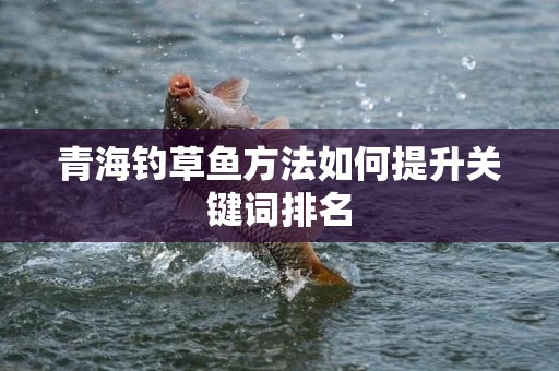 青海钓草鱼方法如何提升关键词排名