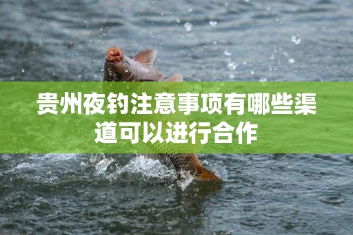 贵州夜钓注意事项有哪些渠道可以进行合作