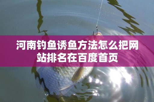 河南钓鱼诱鱼方法怎么把网站排名在百度首页