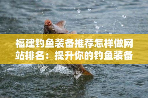 福建钓鱼装备推荐怎样做网站排名：提升你的钓鱼装备网站流量