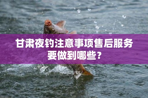 甘肃夜钓注意事项售后服务要做到哪些？