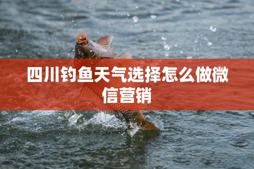四川钓鱼天气选择怎么做微信营销