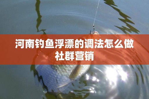 河南钓鱼浮漂的调法怎么做社群营销