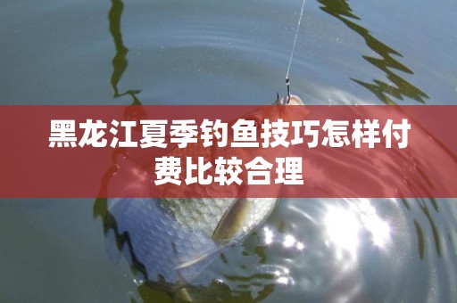 黑龙江夏季钓鱼技巧怎样付费比较合理