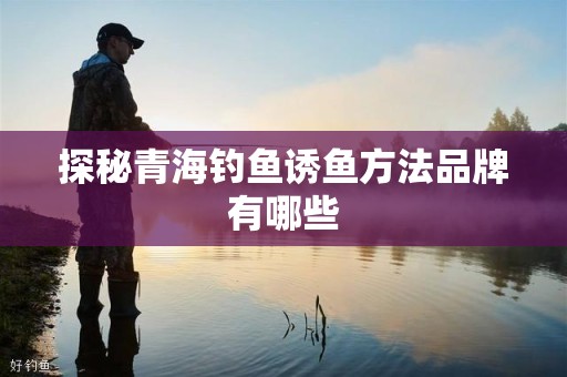 探秘青海钓鱼诱鱼方法品牌有哪些