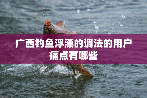 广西钓鱼浮漂的调法的用户痛点有哪些