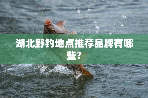 湖北野钓地点推荐品牌有哪些？