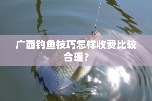 广西钓鱼技巧怎样收费比较合理？