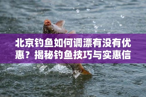 北京钓鱼如何调漂有没有优惠？揭秘钓鱼技巧与实惠信息