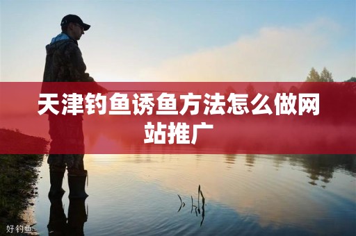天津钓鱼诱鱼方法怎么做网站推广