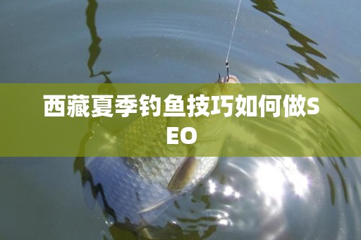 西藏夏季钓鱼技巧如何做SEO