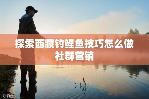 探索西藏钓鲤鱼技巧怎么做社群营销