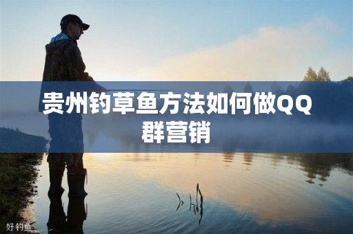 贵州钓草鱼方法如何做QQ群营销