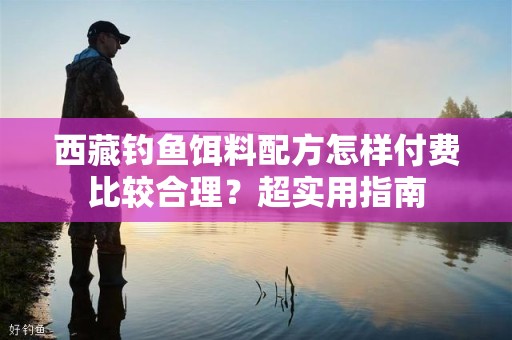 西藏钓鱼饵料配方怎样付费比较合理？超实用指南