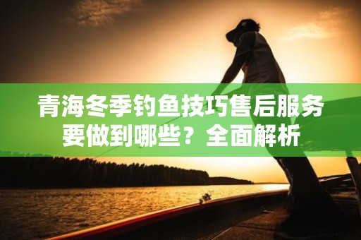 青海冬季钓鱼技巧售后服务要做到哪些？全面解析