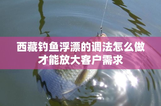 西藏钓鱼浮漂的调法怎么做才能放大客户需求