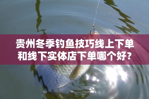 贵州冬季钓鱼技巧线上下单和线下实体店下单哪个好？