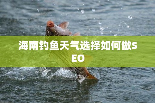 海南钓鱼天气选择如何做SEO