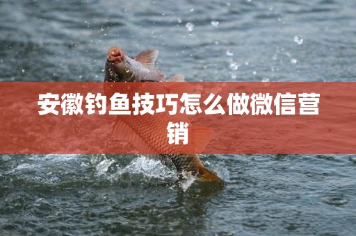 安徽钓鱼技巧怎么做微信营销