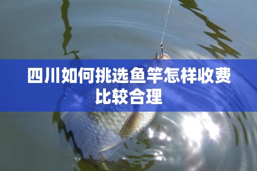 四川如何挑选鱼竿怎样收费比较合理